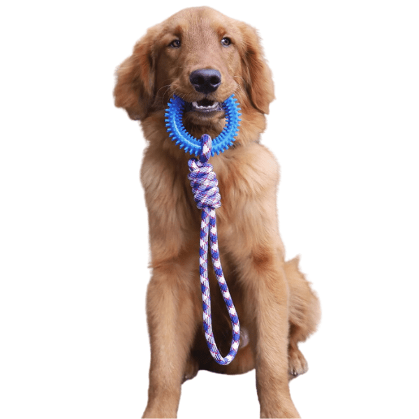 Interactief touwspeelgoed voor honden