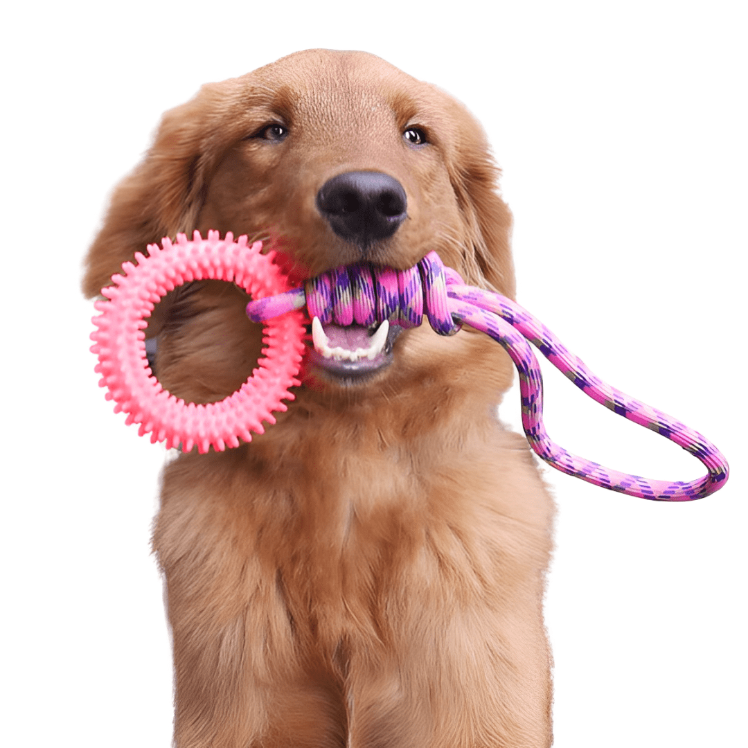 Interactief touwspeelgoed voor honden
