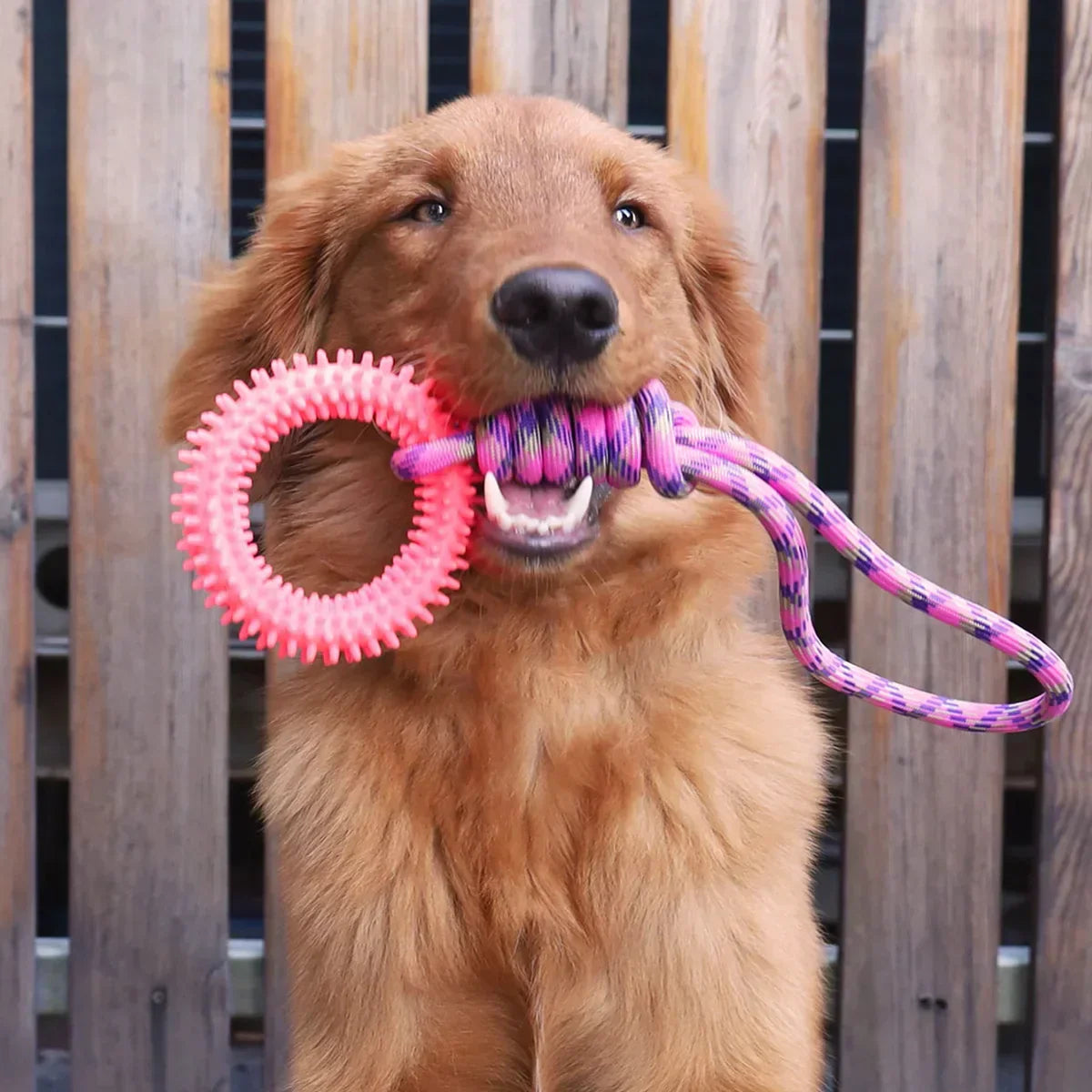 Interactief touwspeelgoed voor honden