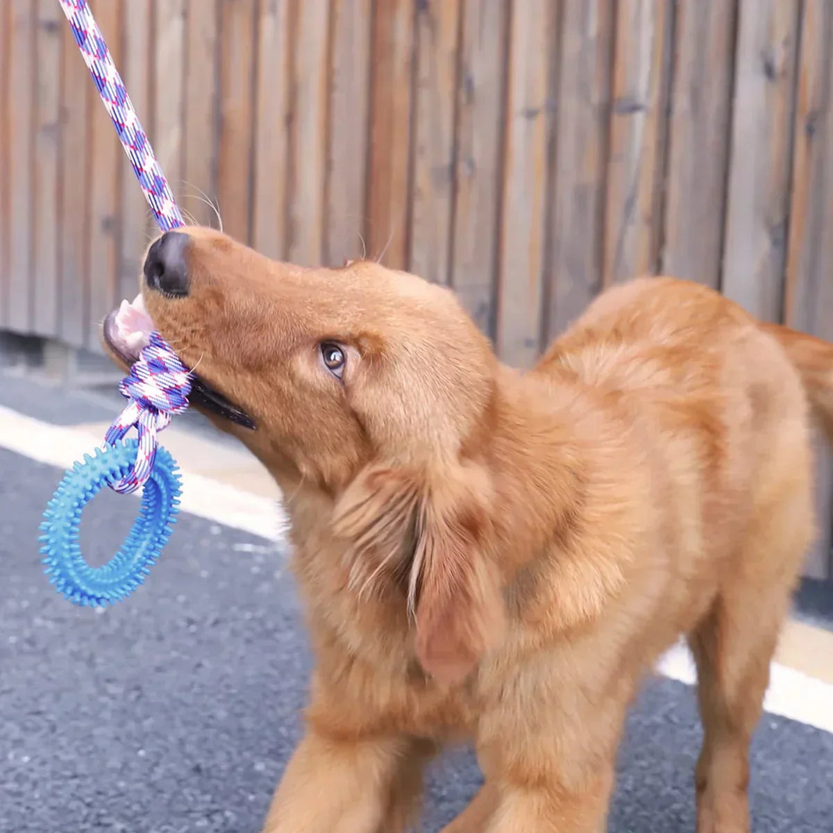 Interactief touwspeelgoed voor honden